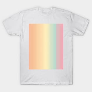 Vintage Rainbow Sunset Feeling T-Shirt